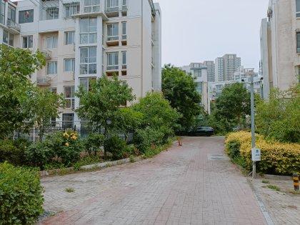 我家住在塘沽的莱茵春天,但是我不敢去游泳馆…只有一栋楼相隔?莱茵春天停车场收费-图3 我家住在塘沽的莱茵春天,但是我不敢去游泳馆…只有一栋楼相隔?莱茵春天停车场收费-图3