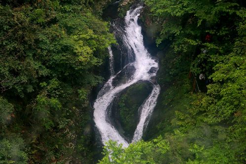 井冈山龙潭景区可以单独买票吗?柳州龙潭公园要收费吗-图2 井冈山龙潭景区可以单独买票吗?柳州龙潭公园要收费吗-图2