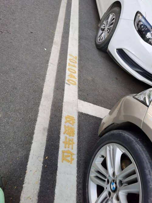 倒车指示怎么看？绿线停车位怎么收费-图3