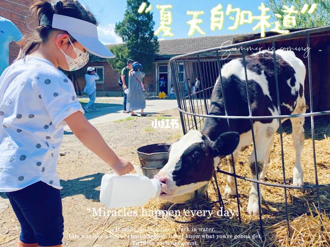 欧乐堡哪个园适合小孩玩？天津美式亲子牧场收费