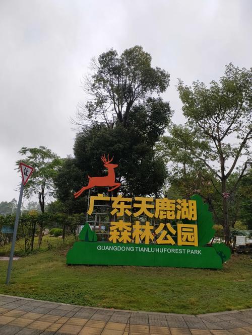 天鹿湖公园露营怎么收费?天鹿湖森林公园收费吗-图2 天鹿湖公园露营怎么收费?天鹿湖森林公园收费吗-图2