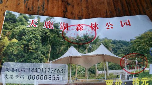 天鹿湖公园露营怎么收费?天鹿湖森林公园收费吗-图3 天鹿湖公园露营怎么收费?天鹿湖森林公园收费吗-图3