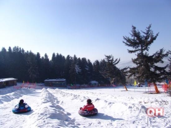 青海省大通县鹞子沟冰雪节门票多少钱是多少？西宁大通鹞子沟收费吗
