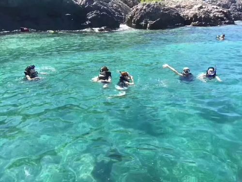 巽寮湾去哪个海岛好？巽寮湾潜水收费