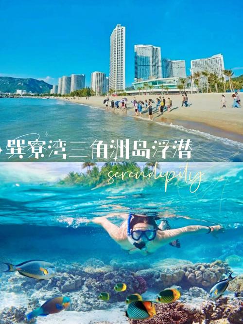 巽寮湾去哪个海岛好?巽寮湾潜水收费-图3 巽寮湾去哪个海岛好?巽寮湾潜水收费-图3