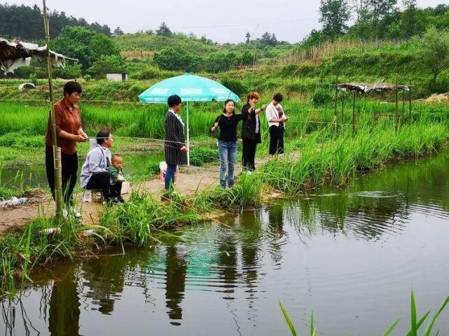 开州区钓小龙虾的地方?重庆 收费 钓小龙虾-图3 开州区钓小龙虾的地方?重庆 收费 钓小龙虾-图3