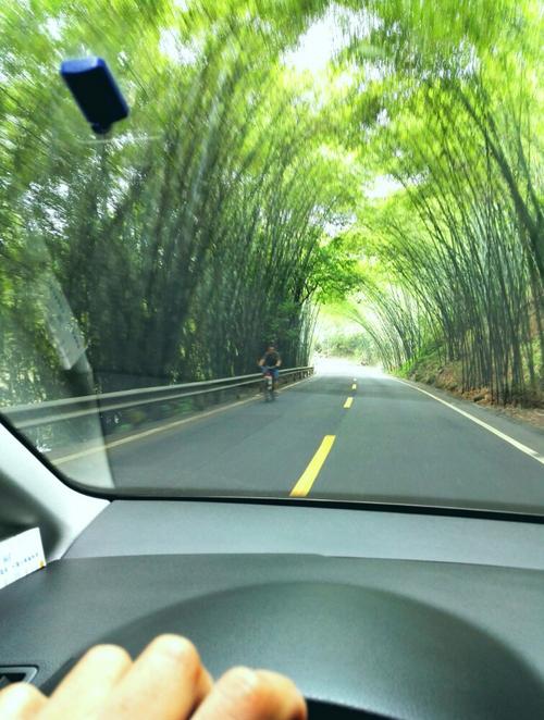 从成都怎样去蜀南竹海?竹海收费站-图2 从成都怎样去蜀南竹海?竹海收费站-图2