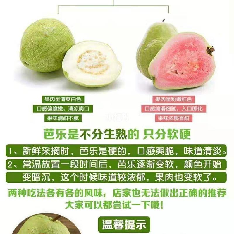 什么是芭乐情歌?芭乐ktv怎么收费-图2 什么是芭乐情歌?芭乐ktv怎么收费-图2