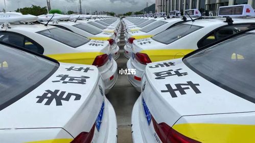 在景洪自行考D照费用?景洪天天驾校收费标准-图3 在景洪自行考D照费用?景洪天天驾校收费标准-图3