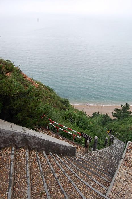 长岛烽山林海夜景要门票吗?长岛的林海公园收费吗-图3 长岛烽山林海夜景要门票吗?长岛的林海公园收费吗-图3