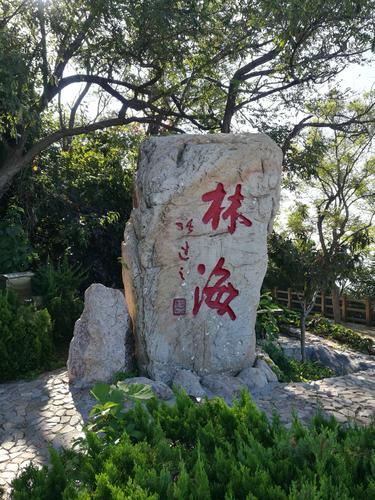 长岛烽山林海夜景要门票吗？长岛的林海公园收费吗