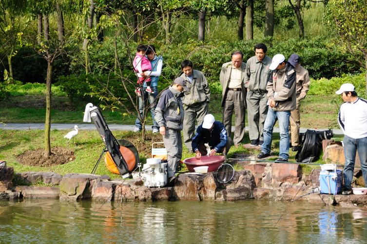 长安幻想要不要升70？大宁灵石公园垂钓收费