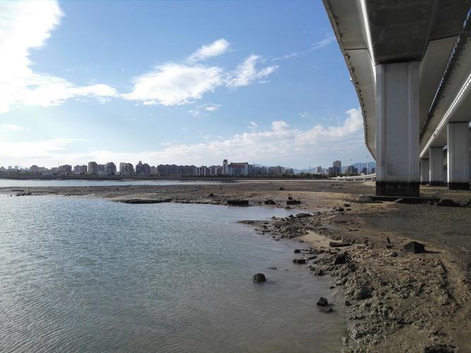 厦门哪个跨海大桥可以赶海？过厦门集美大桥没收费