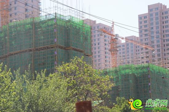 邯郸市东城尚品怎么样?邯郸尚品采摘收费-图2 邯郸市东城尚品怎么样?邯郸尚品采摘收费-图2