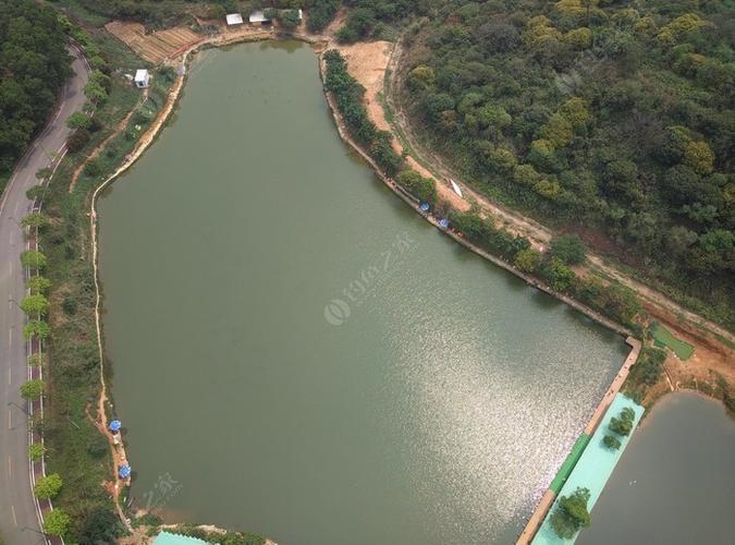 东莞凤岗钓鱼场排行榜?东莞收费钓鱼场-图2 东莞凤岗钓鱼场排行榜?东莞收费钓鱼场-图2