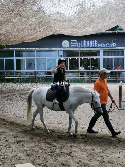 为什么外国人不玩古董?番禺四海马术怎么收费-图2 为什么外国人不玩古董?番禺四海马术怎么收费-图2