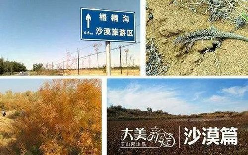 阜康旅游必去十大景点？阜康梧桐沟沙漠收费吗