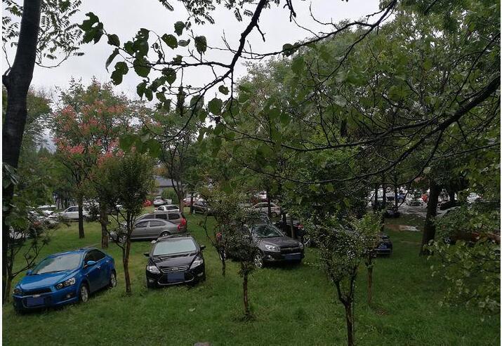 龙山公园路边停车不缴费会怎么样?景区乱收费怎么处罚-图3 龙山公园路边停车不缴费会怎么样?景区乱收费怎么处罚-图3