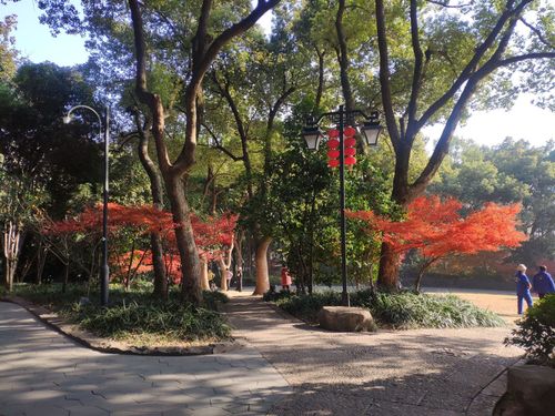 杭州临平区好玩的地方推荐?临平公园晚上收费吗-图3 杭州临平区好玩的地方推荐?临平公园晚上收费吗-图3