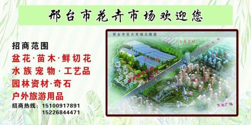 洛阳万达花卉市场最近营业吗?洛阳万达停车场收费-图3 洛阳万达花卉市场最近营业吗?洛阳万达停车场收费-图3