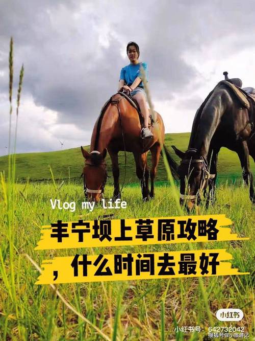 朋友们可以帮我设计一下坝上草原自驾游路线吗，9天时间？马甸收费站