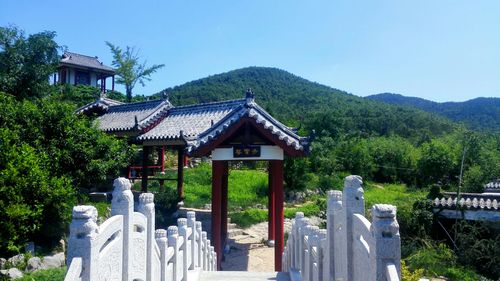 威海山峰海拔排名?荣成伟德山用收费吗-图2 威海山峰海拔排名?荣成伟德山用收费吗-图2