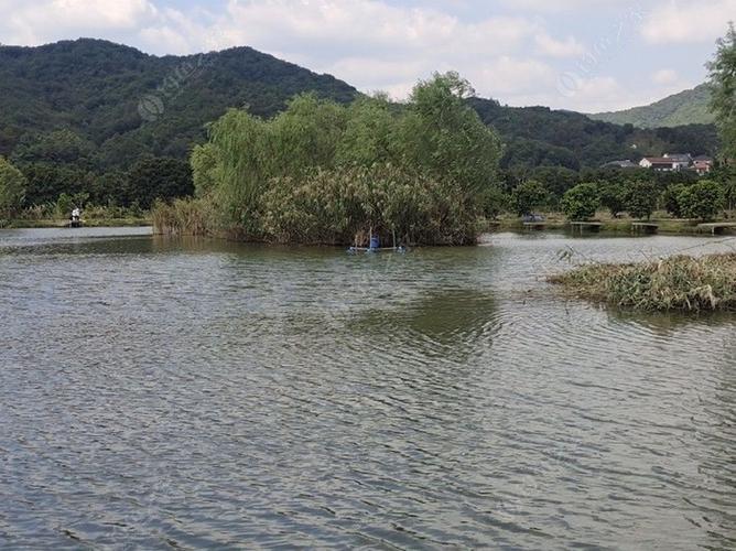 绍兴县哪些地方能钓鱼?绍兴收费钓鱼场-图2 绍兴县哪些地方能钓鱼?绍兴收费钓鱼场-图2