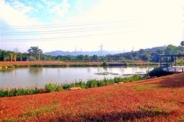深圳龙华有什么好玩的地方？石岩湖收费吗-图3