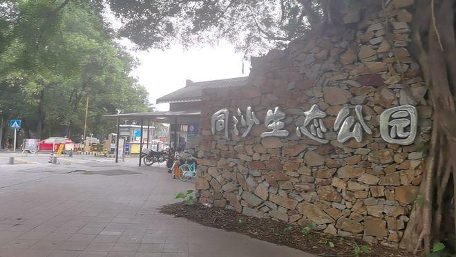 东莞同沙生态公园没预约怎么办?同沙生态园停车收费-图3 东莞同沙生态公园没预约怎么办?同沙生态园停车收费-图3