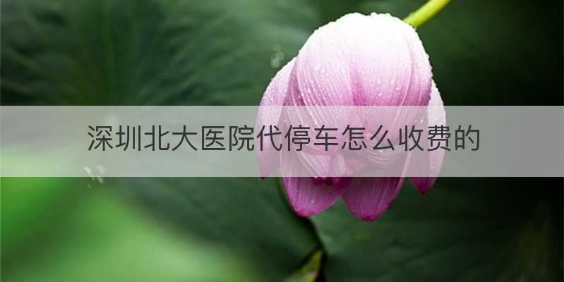 深圳北大医院住院停车费多少?北京地下停车收费标准-图3 深圳北大医院住院停车费多少?北京地下停车收费标准-图3