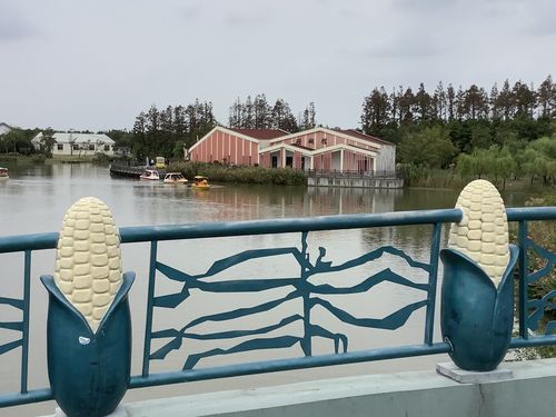上海长兴岛晚上哪里好玩?崇明天鹅苑钓鱼收费-图3 上海长兴岛晚上哪里好玩?崇明天鹅苑钓鱼收费-图3