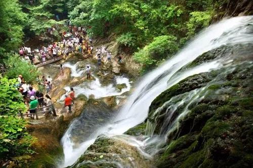 洛阳到重渡沟详细路线?大青沟旅游景区乱收费-图1 洛阳到重渡沟详细路线?大青沟旅游景区乱收费-图1
