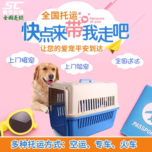 顺丰托运宠物费用标准？狗高铁托运怎么收费