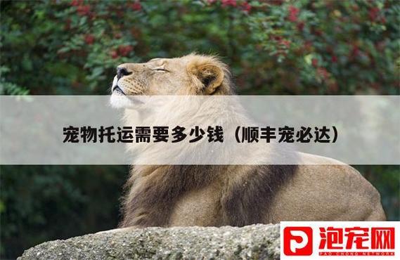 顺丰托运宠物费用标准?狗高铁托运怎么收费-图3 顺丰托运宠物费用标准?狗高铁托运怎么收费-图3