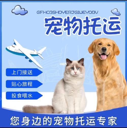 顺丰托运宠物费用标准?狗高铁托运怎么收费-图2 顺丰托运宠物费用标准?狗高铁托运怎么收费-图2