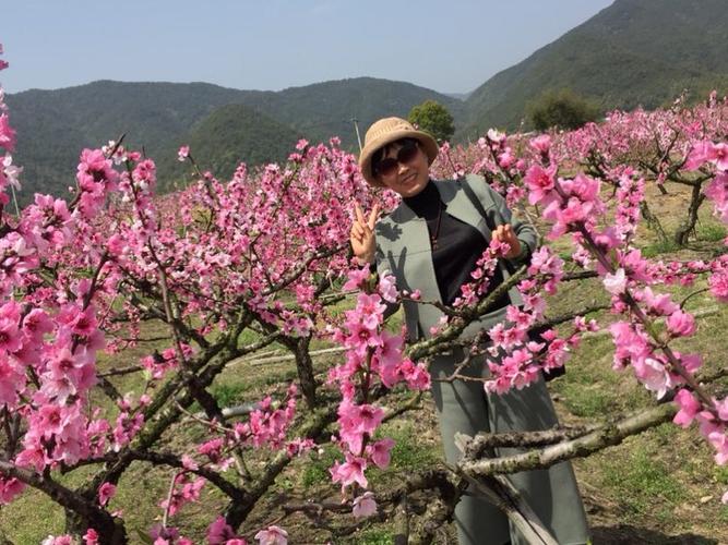 2021年宁海胡陈桃花节时间？宁海胡陈桃花节收费吗