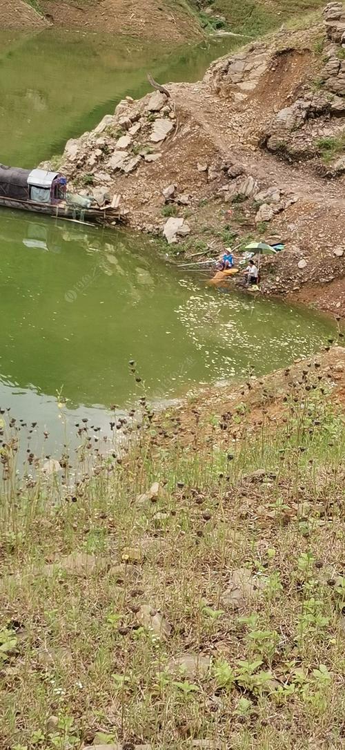 求泰安市钓鱼地点?石家庄岔河钓鱼收费吗-图3 求泰安市钓鱼地点?石家庄岔河钓鱼收费吗-图3