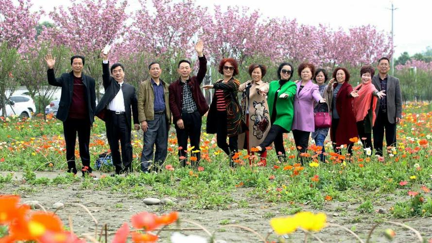 成都周边公园?唐昌花田人家要收费-图3 成都周边公园?唐昌花田人家要收费-图3