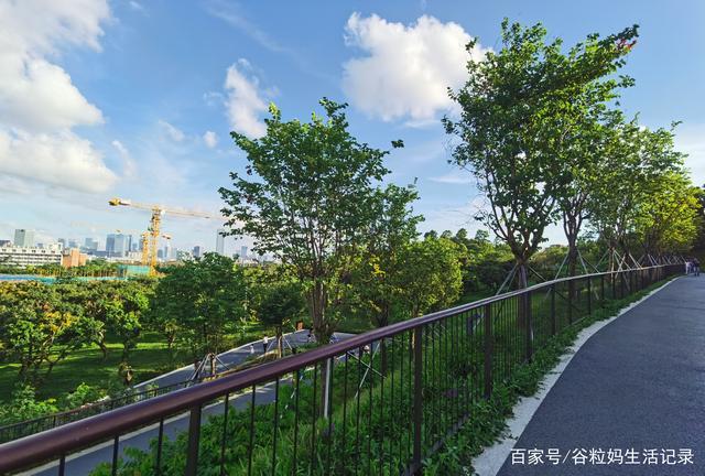 2021深圳西丽生态公园免费吗?为什么深圳公园不收费吗-图2 2021深圳西丽生态公园免费吗?为什么深圳公园不收费吗-图2