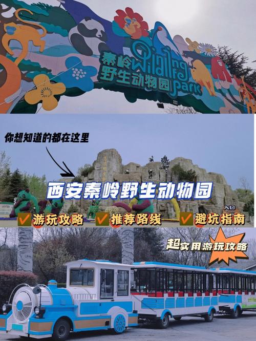 2021年西安秦岭野生动物园收费明细?西安动物园老年人收费-图2 2021年西安秦岭野生动物园收费明细?西安动物园老年人收费-图2