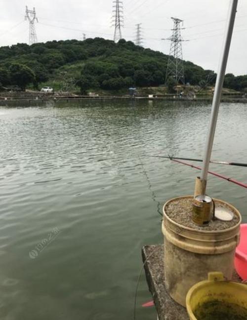 珠海新香港仔围钓鱼怎么走？香港钓鱼怎么收费