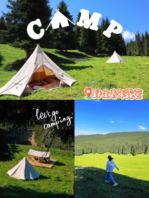 青年营地要门票吗?自由家露营怎么收费-图2 青年营地要门票吗?自由家露营怎么收费-图2