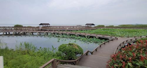 浙江6月哪里好玩景点?太湖西京湾收费吗-图3 浙江6月哪里好玩景点?太湖西京湾收费吗-图3