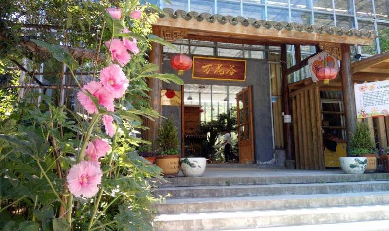 定海区旅游景点推荐?舟山万花谷怎么收费-图2 定海区旅游景点推荐?舟山万花谷怎么收费-图2