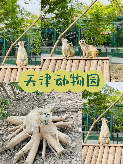 天津动物园附近哪能停车？周邓纪念馆停车收费