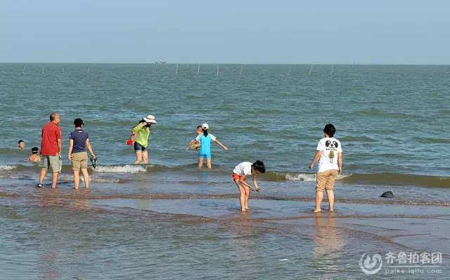 东营海水浴场哪里好玩?东营海水浴场收费吗-图2 东营海水浴场哪里好玩?东营海水浴场收费吗-图2