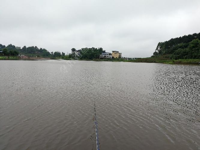 泸州哪些地方好钓鱼？泸州玉龙湖钓鱼收费
