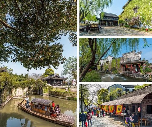 西塘附近还有什么好玩的地方?梅花州野炊怎么收费-图1 西塘附近还有什么好玩的地方?梅花州野炊怎么收费-图1