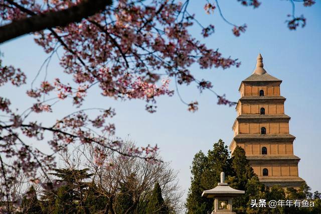 大雁塔景区60岁免票吗？大雁塔公园收费吗