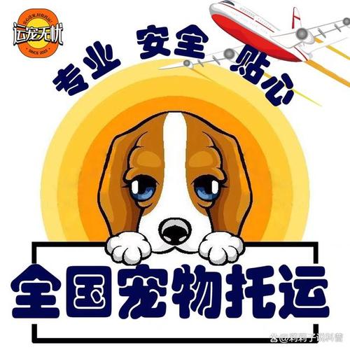 动车托运仓鼠怎么收费？狗动车托运怎么收费-图3